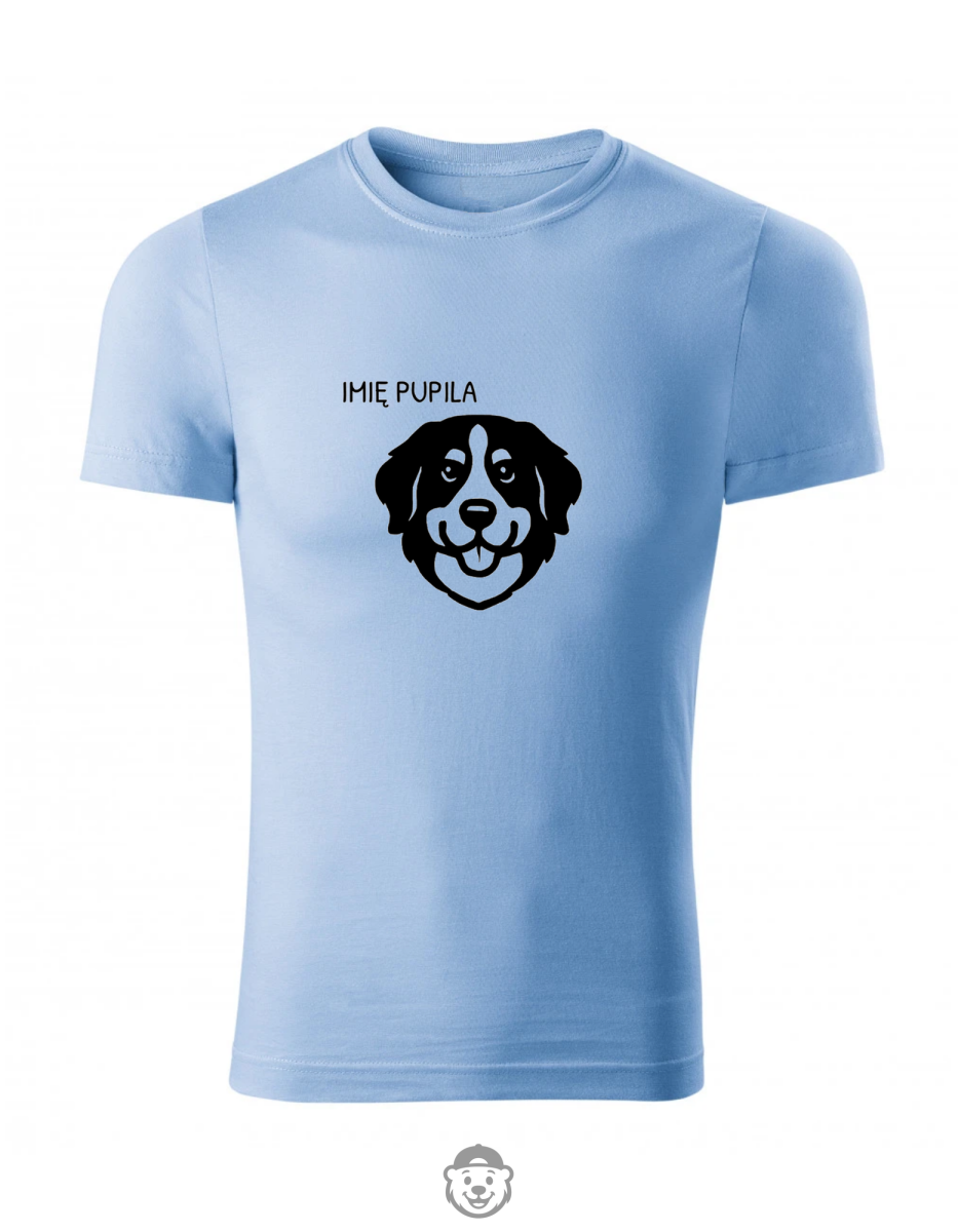 KOSZULKA BERNEŃSKI PIES PASTERSKI BŁĘKITNA.png